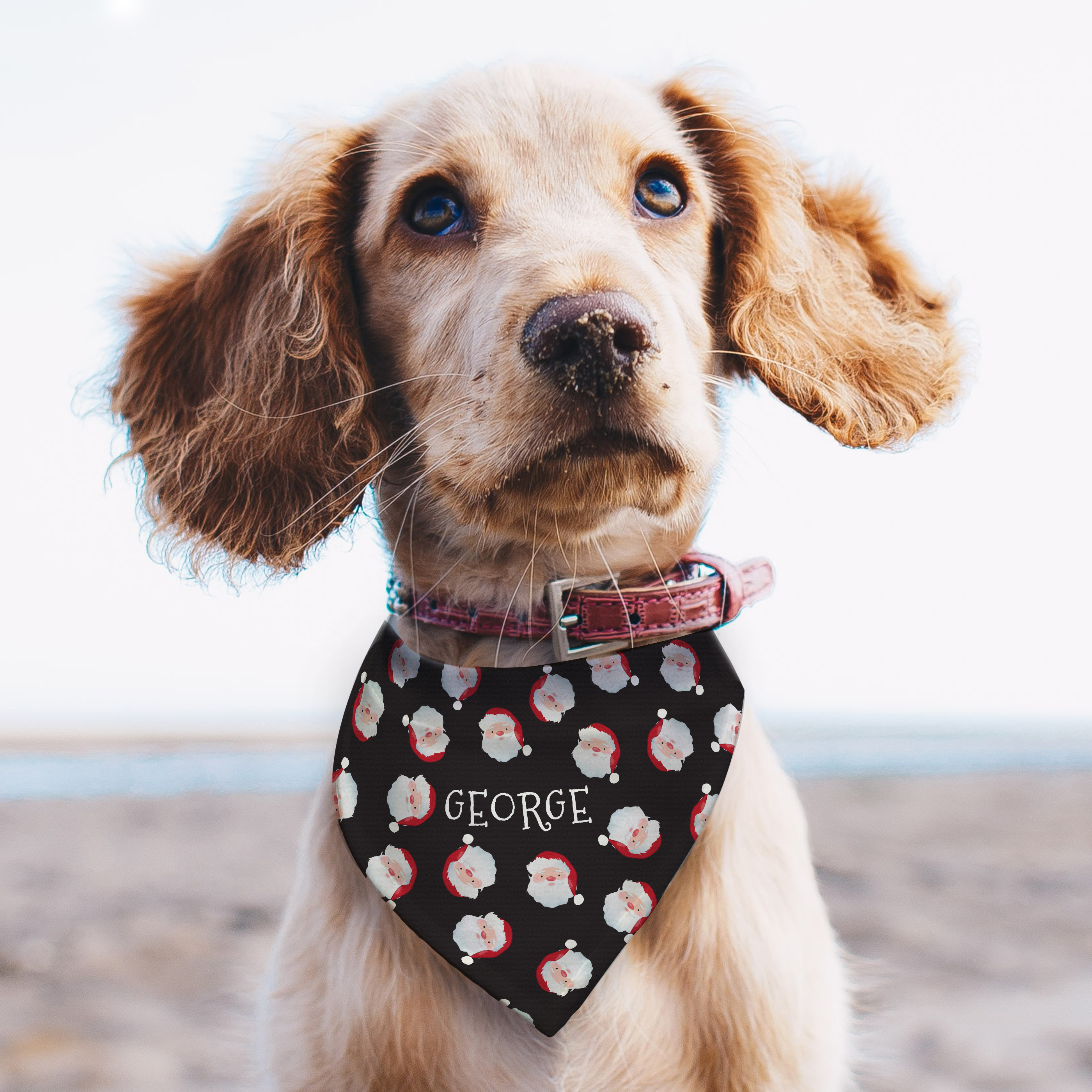 Buy dog bandana discount